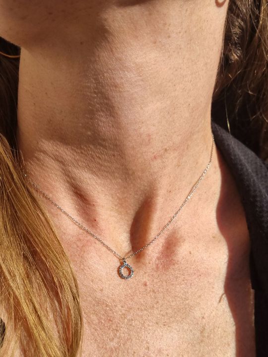 Collier en Acier Inoxydable Argenté avec Pendentif Cercle Incrusté de Zirconiums
