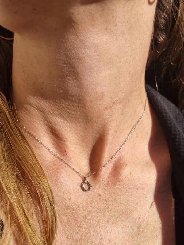 Collier en Acier Inoxydable Argenté avec Pendentif Cercle Incrusté de Zirconiums