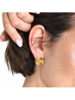 Boucles d'Oreilles Disques Dorés en Acier Inoxydable Poli