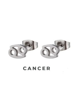 Boucles d'Oreilles Astrologiques en Acier Inoxydable - 8mm