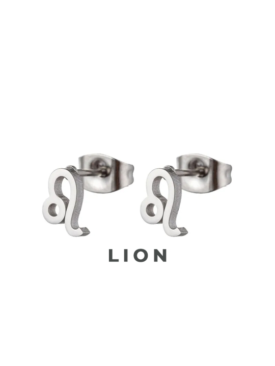 copy ofBoucles d’Oreilles Entrelacées Bicolores en Acier Inoxydable