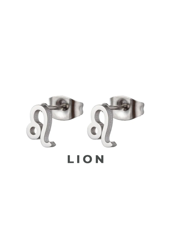 copy ofBoucles d’Oreilles Entrelacées Bicolores en Acier Inoxydable