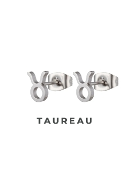 Boucles d'Oreilles Astrologiques en Acier Inoxydable - 8mm