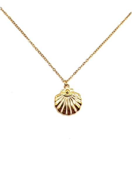 Collier Coquillage Doré – Acier Inoxydable Brillant, Élégance Marine