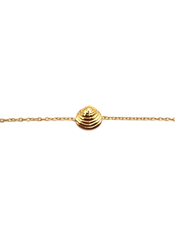 Bracelet Coquillage Spirale Doré – Chaîne Fine en Acier Inoxydable
