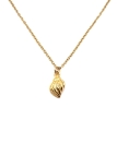 Collier Coquillage Spirale Doré – Acier Inoxydable Raffiné