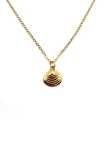 Collier Coquillage Doré en Acier Inoxydable – Élégance Océanique